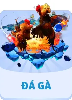 Đá Gà