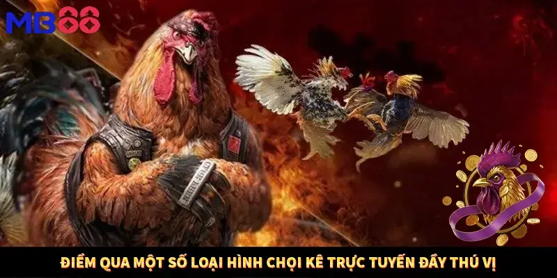 Điểm qua một số loại hình chọi kê trực tuyến đầy thú vị