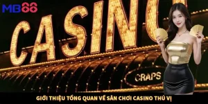 Giới thiệu tổng quan về sân chơi casino thú vị