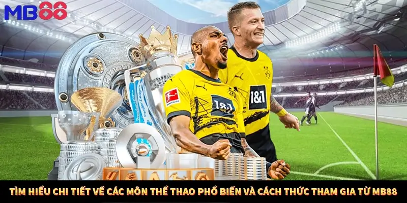 Tìm hiểu chi tiết về các môn thể thao phổ biến và cách thức tham gia từ MB88