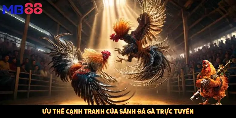 Ưu thế cạnh tranh của sảnh đá gà trực tuyến